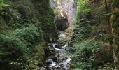 Randonnée Marche Fort-du-Plasne - Les gorges de la languettes et de malvaux  - Photo 2