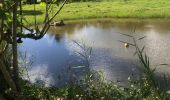 Trail Walking Sainte-Anne - Belle mare  - Photo 2