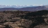 Randonnée Marche La Roche-sur-le-Buis - la montagne de Banne  - Photo 8