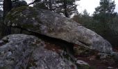 Tour Wandern Fontainebleau - Rocher brûlé - Photo 4