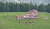 Trail On foot Pieve di Cadore - IT-343 - Photo 7