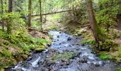 Tocht Stappen Saint-Victor-la-Rivière - St_Victor_Vallon_Courbanges - Photo 1