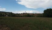 Trail Walking Brindas - brindas à messimy et plus loin - Photo 2