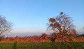 Trail Walking Hamoir - comblain la tour . hoyemont . oneux . comblain la tour - Photo 10