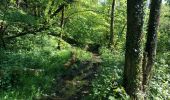 Tocht Stappen Musson - Tour de la forêt des Monts. - Photo 15