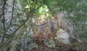 Tour Wandern Saint-Julien-en-Vercors - La porte du Diable - Photo 12