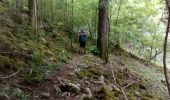 Trail Walking Dinant - Furfooz  - Photo 2