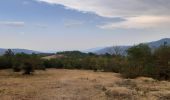 Trail Walking Montferrer - Montferrer . El Castel . Puig de Vilafort -  retour par la piste  - Photo 12