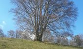 Trail Walking Wasserbourg - Tour du Petit Ballon et des fermes auberges - Photo 6