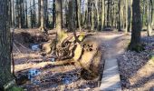 Trail Walking Raeren - Venn trilogie (2eme étape) - Photo 9