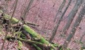 Tour Wandern Sint-Genesius-Rode - Sint-Genesius-Rode - Hoeilaart 2020 01 14 Groene Gordel 2 - Photo 8
