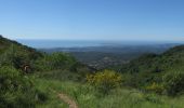 Trail Walking Vence - Puy de Tourrettes et plateau de Saint Barnabé - Photo 1