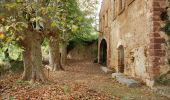 Excursión A pie la Morera de Montsant - Itinerari al voltant de la Cartoixa - Photo 4