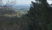 Tocht Stappen Orbey - Lac blanc lac noir musmiss  - Photo 10