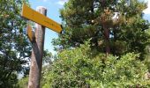Trail Walking La Roche-des-Arnauds - SityTrail - Circuit de la combe du Duc - Photo 2