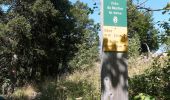 Tocht Stappen Autrans-Méaudre en Vercors - Autrans - Gève - Bec de l'Orient - La Buffe - Photo 6