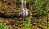 Tour Zu Fuß Meilen - Meilen Schiff - Oetwil - Photo 8