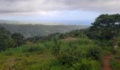 Tour Wandern Le Lorrain - Boucle Dorival - Cledelin - Carabin - Vallon - Photo 4