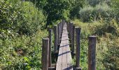 Randonnée Marche Grammont - Promenade sur des rondins de bois à Idegem - Photo 17