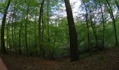 Randonnée V.T.T. La Hulpe - VTT sur la forêt de soignes - Photo 8