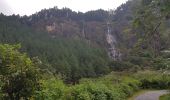 Tour Wandern Bandarawela - Sri-10 Bandarawela  - Iddalgasinne - Bambarakanda - Lyangahawela - Photo 17