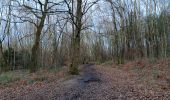 Tocht Stappen Luik - quintufyon rando 3 Landes de Streupas - Photo 11