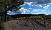 Trail Walking Pierrefeu-du-Var - La Portanière - Photo 1