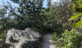 Trail Walking Houffalize - tour du lac des 2 ourthes - barrage de Nisramont  - Photo 1