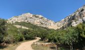 Tour Wandern Le Rove - Fort de Niollon et nord viaduc de La Vesse. - Photo 11