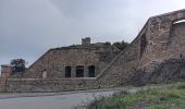 Trail Walking Collioure - madeloc depuis col de la serra, via col de villauria, batterie 500, retour  - Photo 10