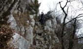 Randonnée Marche Entrelacs - SAPENAY: MONTAGNE DE CESSENS - Photo 5