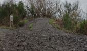 Trail Walking Maasmechelen - La balade des Terhills  - Photo 15