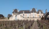 Randonnée Marche Coteaux-sur-Loire - Saint-Patrice Port-Charbonnier - via PRs et GRP - 24.7km 155m 5h15 (1h) - 2025 03 05 - Photo 6