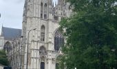Trail Walking City of Brussels - Compostelle 1 : Bruxelles Cathédrale Saints Michel & Gudule - Uccle Calevoet - Photo 1