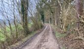 Tour Wandern Tervuren - Duisburg 20,4 Km - Photo 9