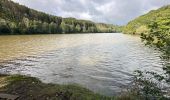 Tocht Stappen Lac de la Haute-Sûre - Bavigne 10,1 km - Photo 6