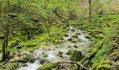 Trail Walking Foncine-le-Bas - Autour de la cascade du Bief de la Ruine 🥾 - Photo 4