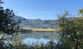 Tour Wandern Meerfeld - Meerfelder Maar en Waldsbornkratersee (PVDB ) - Photo 2