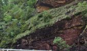 Tocht Stappen Beuil - Les Cluots par les Gorges du Cians supérieur - Photo 13