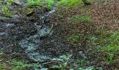 Tour Zu Fuß Bettemburg - Auto-Pédestre Abweiler - Photo 1