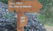 Randonnée Marche Mandelieu-la-Napoule - ST MARTIN - CADIERES A/R - Photo 16