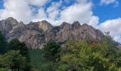 Trail Walking Quenza - rando Corse dans Bavella - Photo 12