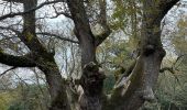 Randonnée Marche Saint-Jeannet - Baous de St Jeannet et de la Gaude - Photo 11