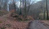 Trail Walking Theux - autour de chawion  - Photo 2