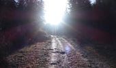 Trail Walking Die - Le Glandasse (Abbaye-Fauchard-Comptoir-à-Moutons) - Photo 11