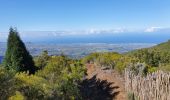 Trail Walking Entre-Deux - Entre-Deux - Sentier Inard (boucle) - Photo 13