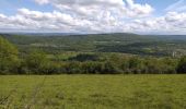 Trail Walking Boussières - Boussières crête  - Photo 6