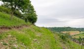 Percorso A piedi Beverungen - Erlesene Natur - Wo der Bock zum Gärtner wird - Photo 3