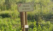 Trail Walking Delincourt - Delincourt, Le Mesnil, Reilly, La vierge, Delincourt - Photo 9