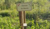 Tocht Stappen Delincourt - Delincourt, Le Mesnil, Reilly, La vierge, Delincourt - Photo 9